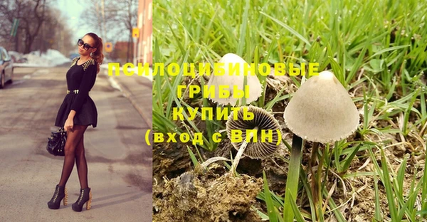 ALPHA PVP Яранск