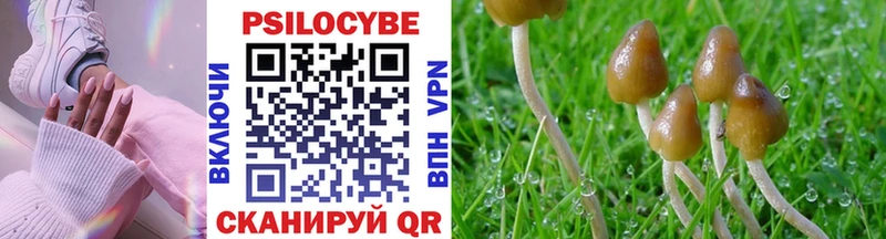 Псилоцибиновые грибы Psilocybine cubensis  Купить  Невьянск 