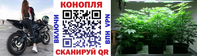 Купить  Невьянск  Каннабис SATIVA & INDICA 